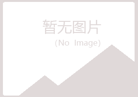 银川西夏白易能源有限公司